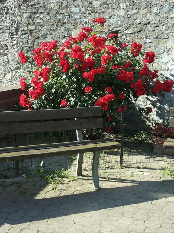 Nonno Toni Bed & Breakfast Campo Ligure Exterior photo